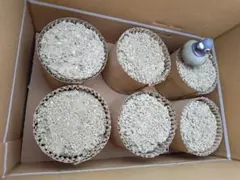 Item thumbnail for item 3d9b5ef6-f404-4bdd-aaa0-864a80709916