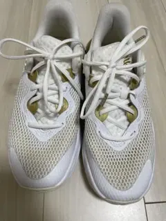 レア】 NIKE ナイキ テニスシューズ ズームヴェイパー9.5 フライニット