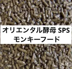 Item thumbnail for item 6857544b-dd7b-441b-ba33-1b18ea604e58