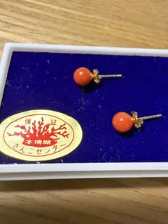 値下げ　本珊瑚　ピアス　新品未使用品