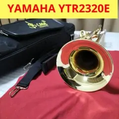 Item thumbnail for item 0d449302-84ca-495c-b822-992fcd866087