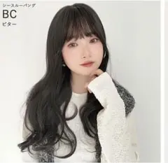 ウイッグ 黒