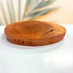 【モッコク】輪切りのサムネイル