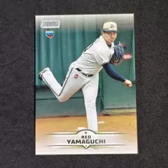 Item thumbnail for item bd085307-7ec4-4dd0-b5ae-3cd33c1746b4