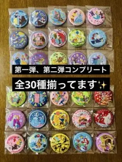 【全30種フルコンプ】ディズニー刺繍缶バッジ 第一弾・第二弾 コンプリートセット
