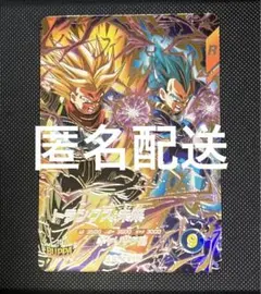 sdv8-069 トランクス:未来