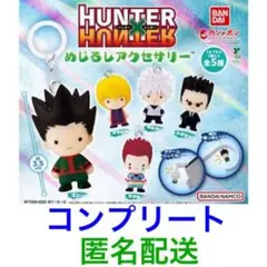 HUNTER×HUNTER めじるしアクセサリー コンプ