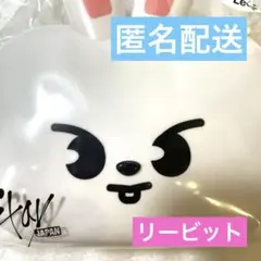 Stray Kids スキズ オンラインくじ Ｄ賞 リービット