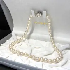 25971✨タサキ TASAKI 照り強 黒蝶 アコヤ パール イヤリング SV 