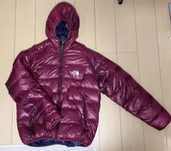 ⭐️値下げ⭐️THE NORTH FACE 