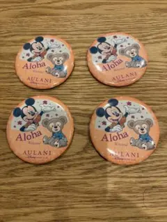 2025年アウラニ限定品！非売品 AULANI ミッキー ダッフィー 缶バッジ 2025年アウラニ限定品！非売品 AULANI ミッキー ダッフィー 缶