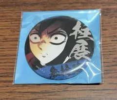 鬼滅の刃 冨岡義勇 エモーショナル缶バッジ