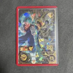 UGM9-072 ベジット