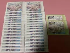 日野森雫 ぱしゃこれセット