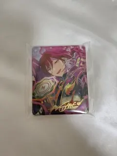 逆先夏目　コロッタ 2026年最新】逆先夏目 コロッタの人気アイテム - メルカリ