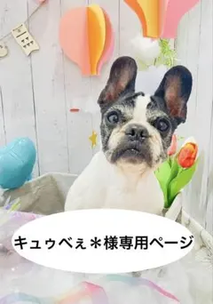 キュゥべえ＊様 リクエスト 4点 まとめ商品