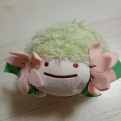 激レア】 ポケモンキャンバス シェイミ ぬいぐるみ マスコット