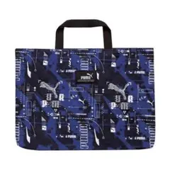 Item thumbnail for item 9bbf6d59-46d6-46ad-8013-8e25087705e6