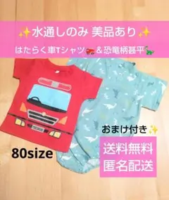 Item thumbnail for item f4fb9381-b2cd-4f81-8105-720c9d8a6a80