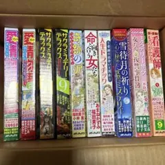 レディースコミック10冊まとめ売り