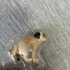 モザイヌ　ガチャ　パグ　１点