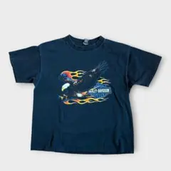 Big Fish 2003 Tシャツ ハーレー ヴィンテージ 深瀬着用 - メルカリ