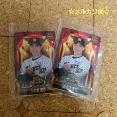 阪神タイガース TORACOグルメ 限定カード 木浪聖也選手 2枚セット