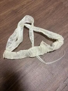 2025年最新】アオダイショウ 抜け殻の人気アイテム - メルカリ