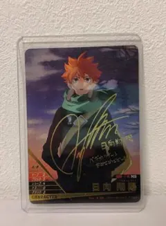 ハイキュー バボカ 日向翔陽 サイン HV-P01-001 4-1/766