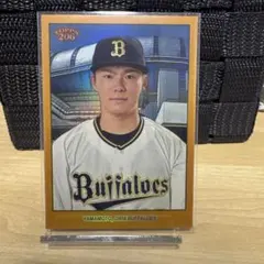 Item thumbnail for item 69fa23b3-dd82-4ca1-98f7-027b45235a47