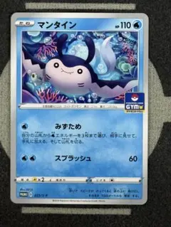 【プロモ】【10点2500円引き】マンタイン