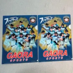 北海道日本ハムファイターズ クリアファイル 2枚セット