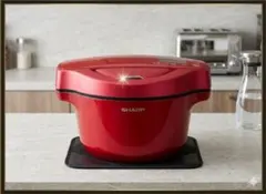 【大人気時短家電】ホットクック KN-HW16E-R 美品・清掃済み 本日発送可 大人気時短家電】本日発送可 ホットクック KN-HW16E-R 美品・清掃済み