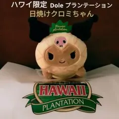 お値下げ⭐︎ハワイ限定 日焼けクロミちゃん マスコット ドールプランテーション