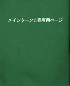 メインクーン☆様ご確認用