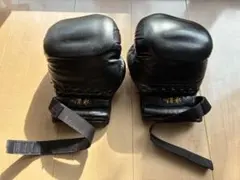 日本拳法グローブ　渭水