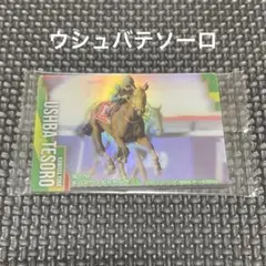 サラブレッドホースコレクション ウシュバテソーロ サイン 2枚セット
