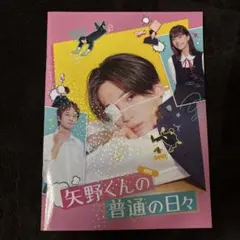 矢野くんの普通の日々 パンフレット