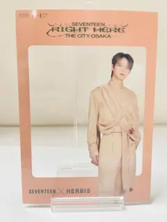 SEVENTEEN クリアフォトフレーム　HERBIS大阪