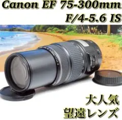 2026年最新】canon kiss x9i 望遠レンズの人気アイテム - メルカリ