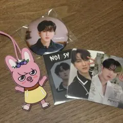 straykids スキズ チャンビン ラゲッジタグ 缶バッジ