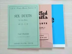 Item thumbnail for item dfad9d70-e381-4919-a455-89988feb78ab