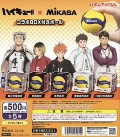 ハイキュー!! × MIKASA コラボボール 全5種 白鳥沢学園