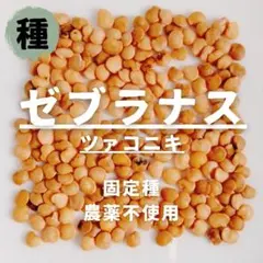 まいめろぶー様 リクエスト 2点 まとめ商品
