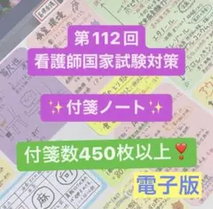 114回看護師国家試験試験対策