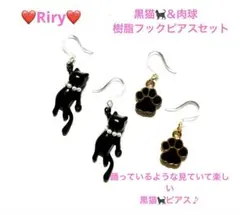 ❤️黒猫＆肉球　樹脂フックピアス2ペアセット ❤️
