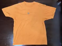 Nike ACG ナイキ Tシャツ ドライ素材 メンズL 正規品 準ビンテージ