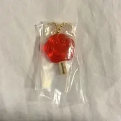 ズートピア アイスキャンディーチャーム ガチャ