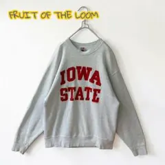 90s FRUIT OF THE LOOMカレッジロゴ 霜降りグレー USA生地