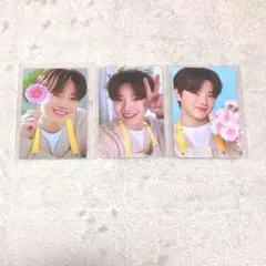 Treasure blooming ジュンギュ トレカ